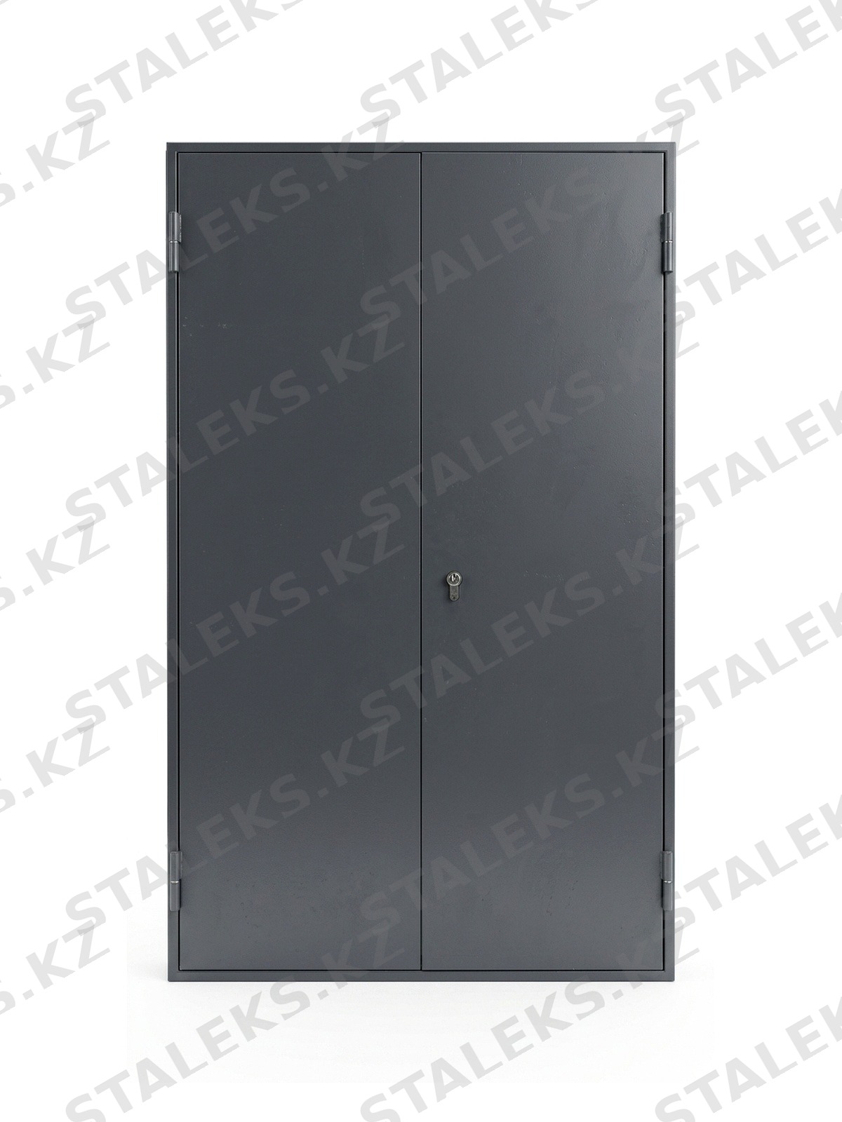 ДСТ — двустворчатая глухая металлическая дверь — каталожное фото STALEKS, серый металл
