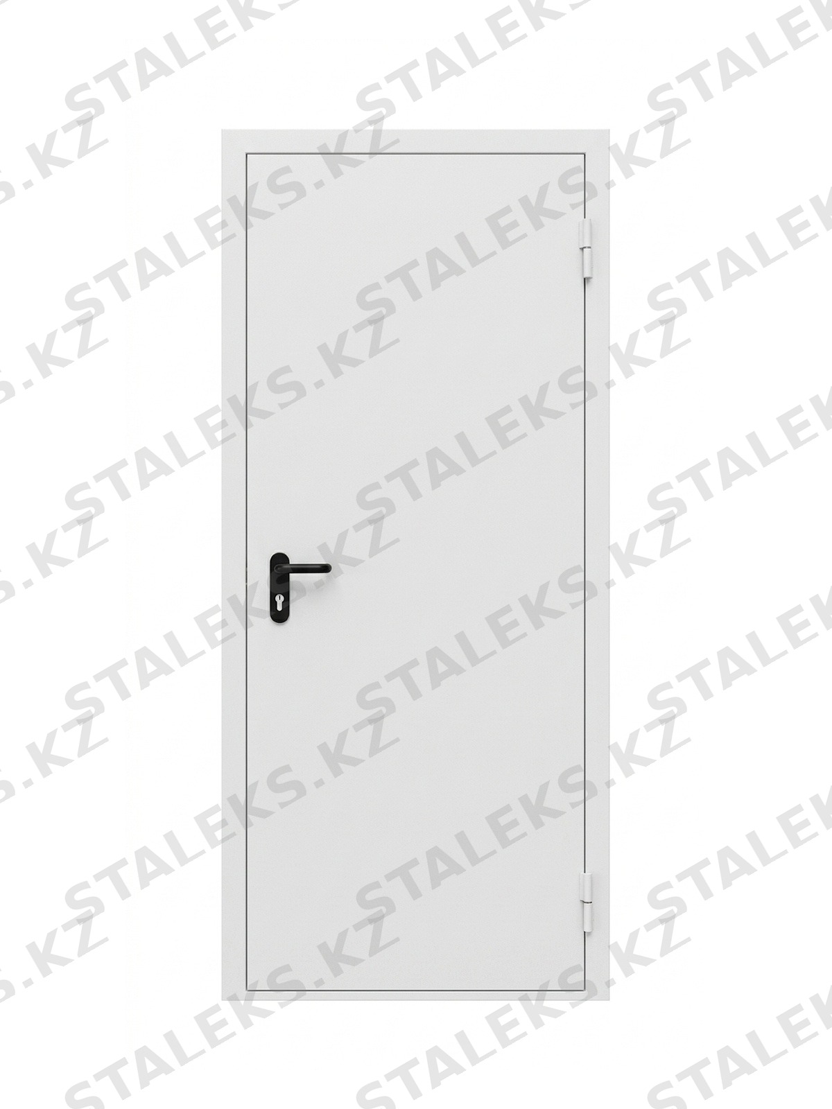 ДСТ — одностворчатая глухая металлическая дверь — каталожное фото STALEKS, белый металл