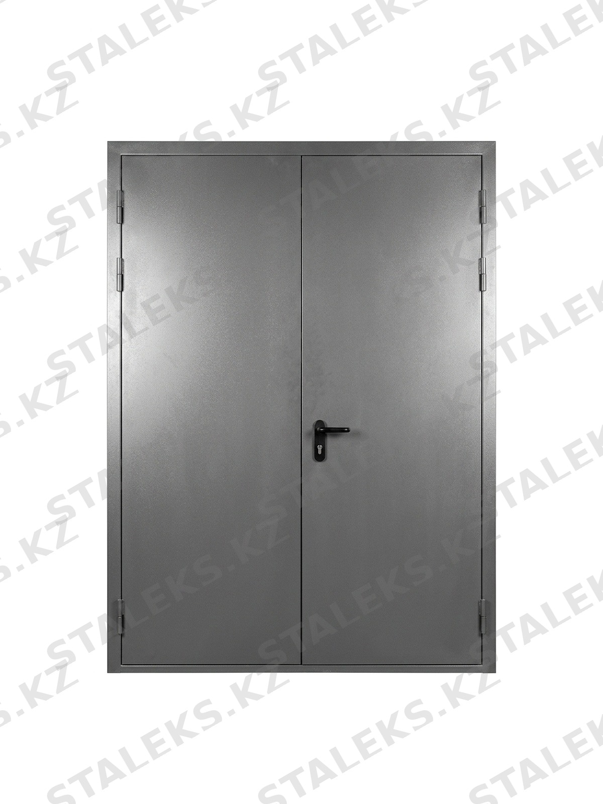 ДСТ — двустворчатая глухая металлическая дверь — каталожное фото STALEKS, серый металл